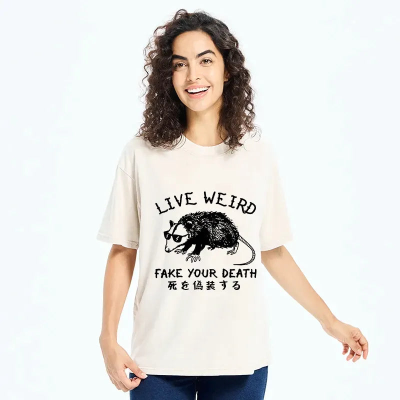 kyoto lion washed japanese t-shirt