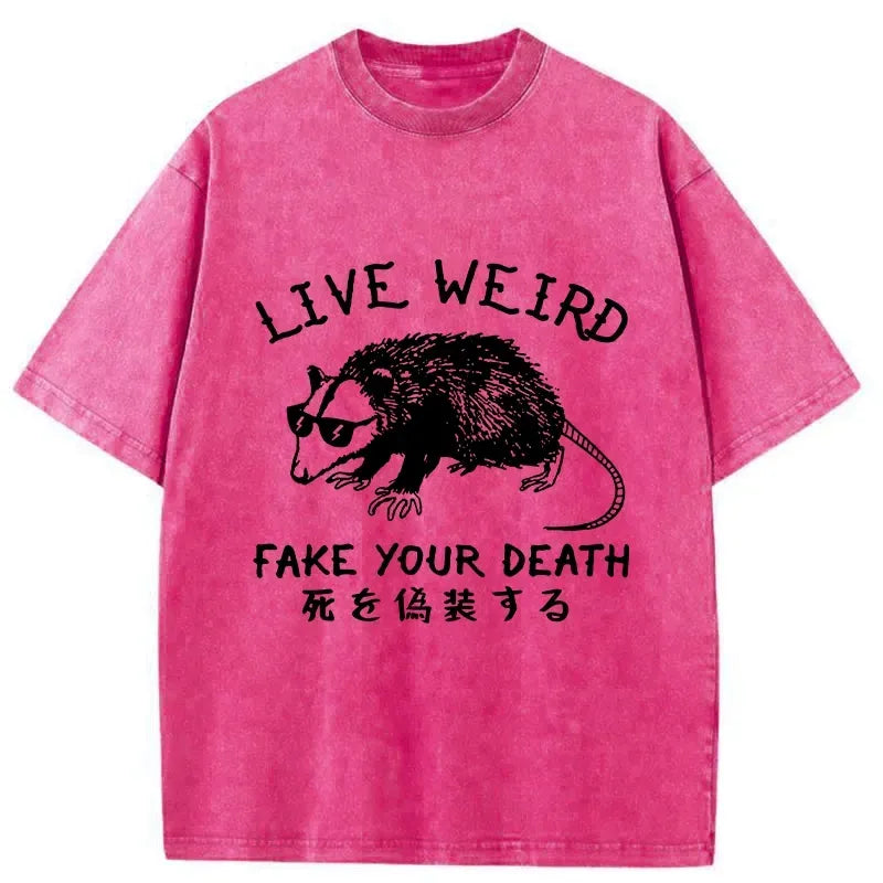 kyoto lion washed japanese t-shirt