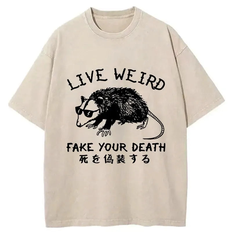 kyoto lion washed japanese t-shirt