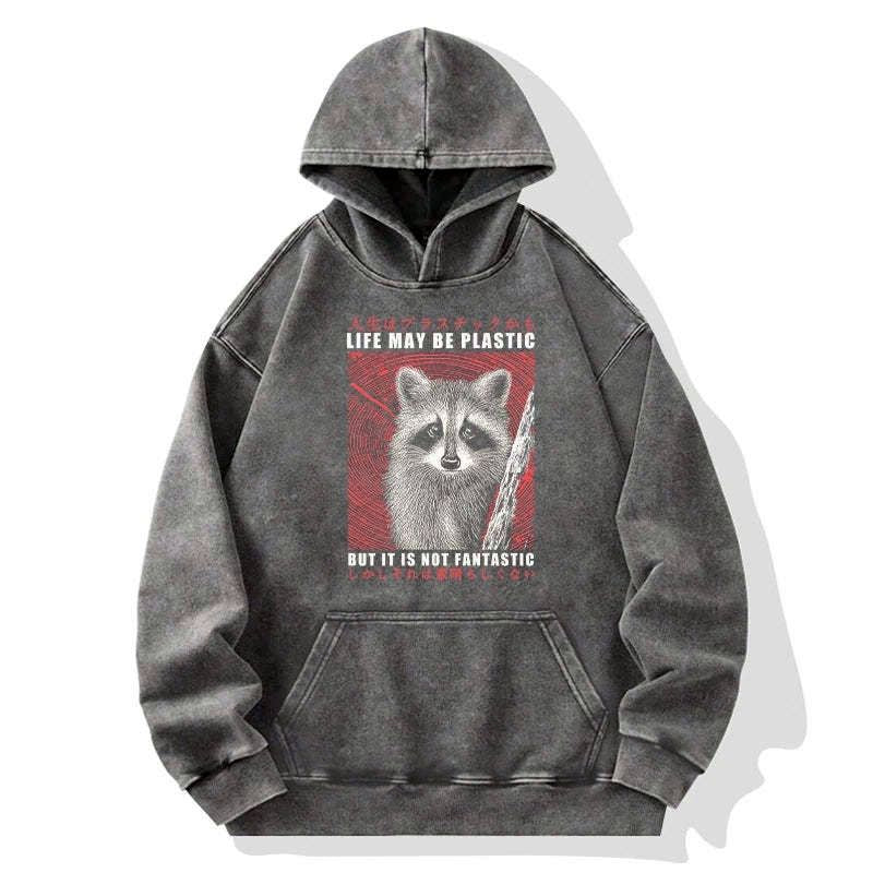 kyoto lion streetwear hoodie on sale