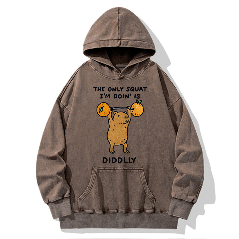 Japanese Capybara Washed Hoodie for Streetwear
