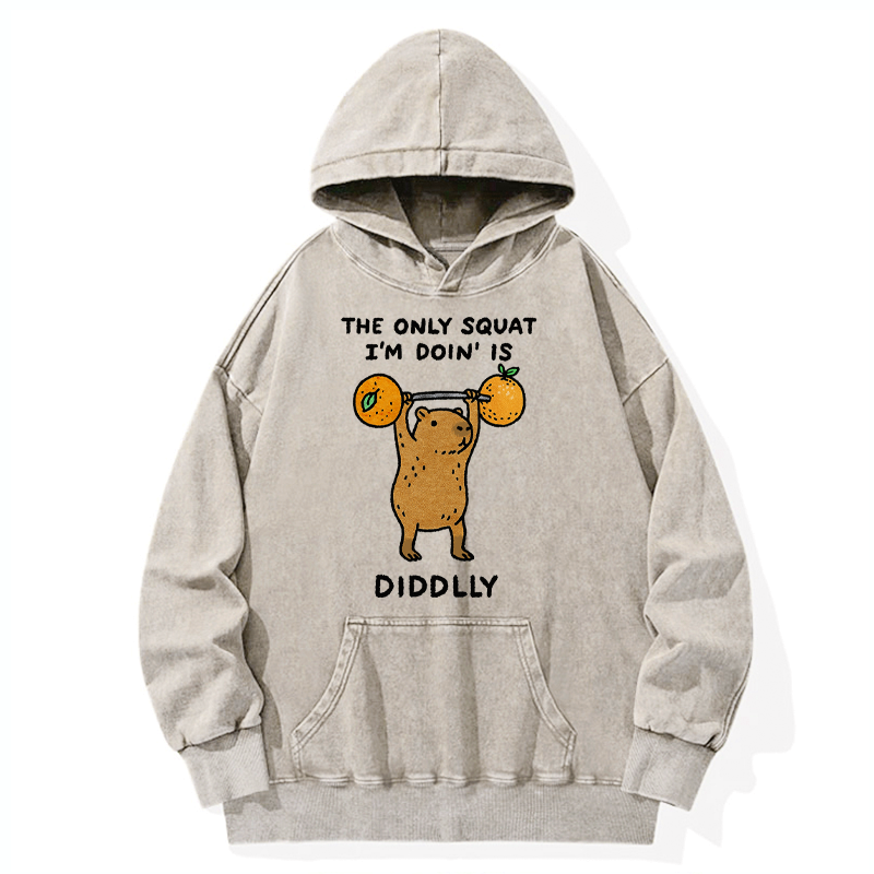 Kyoto-Lion Diddly Capybara Washed Hoodie
