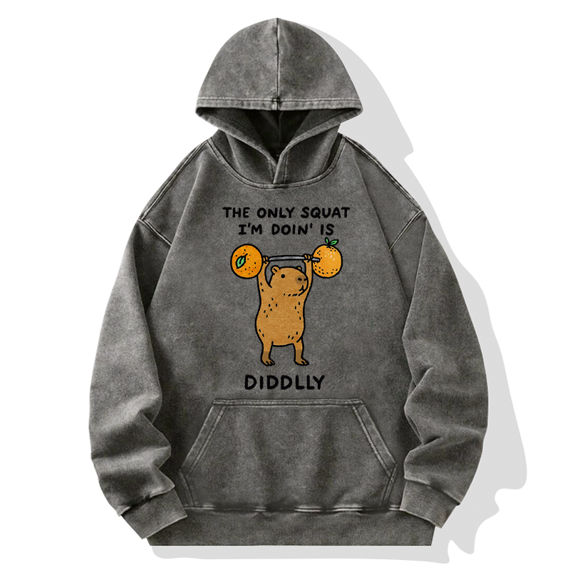 Japanese Capybara Washed Hoodie for Streetwear