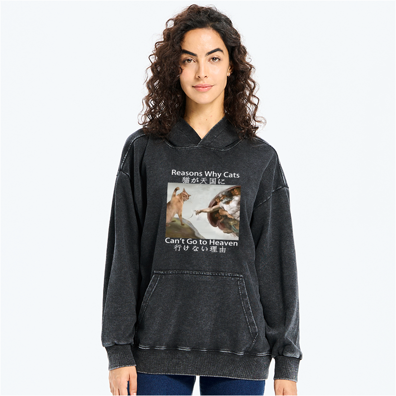 Japanese vintage cat hoodie for men