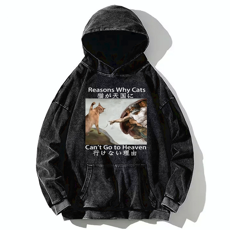 Japanese vintage cat hoodie for men