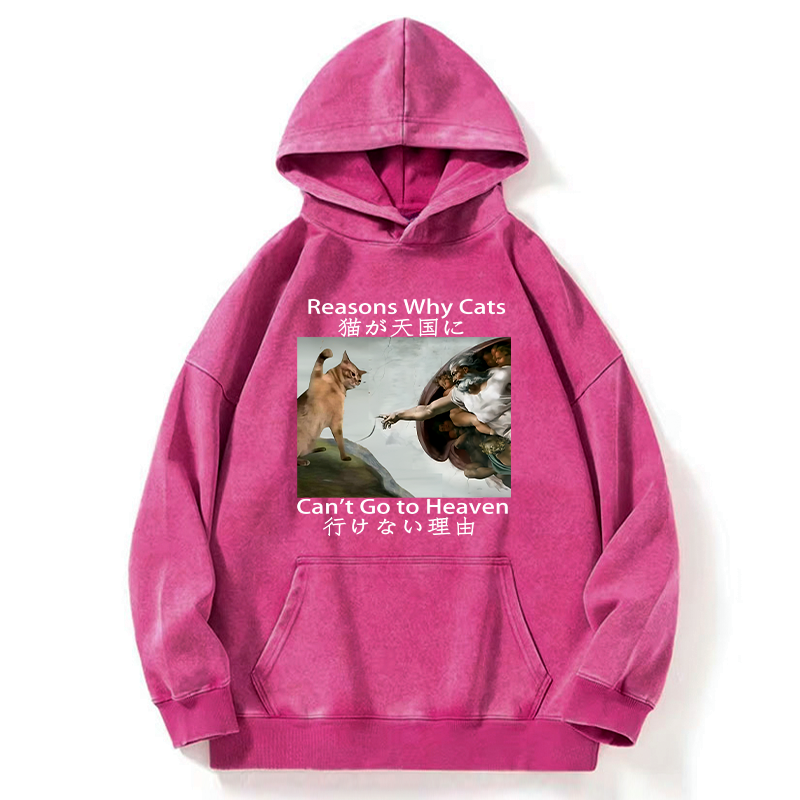 washed unisex hoodie for style