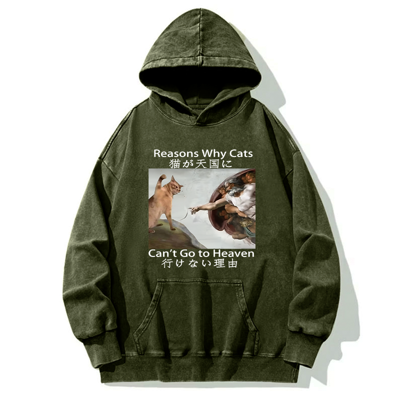 Kyoto-Lion Naughty Cat Can't Go To Heaven Washed Hoodie