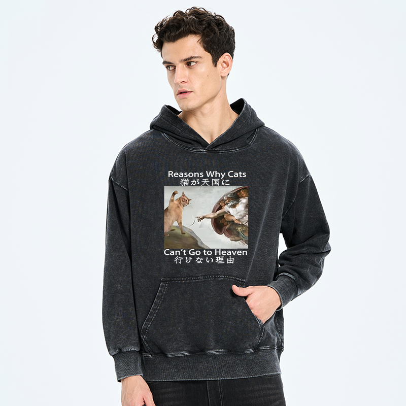 Kyoto-Lion Naughty Cat Can't Go To Heaven Washed Hoodie