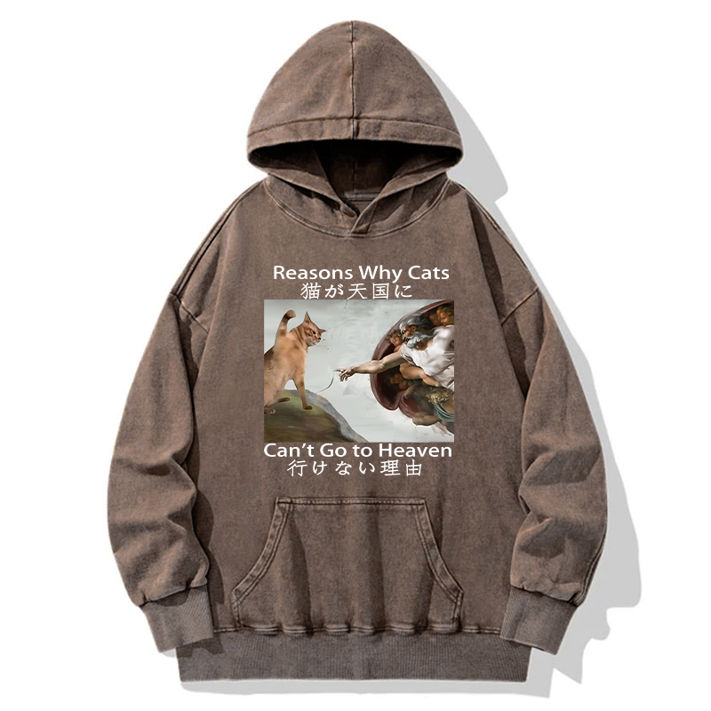 washed unisex hoodie for style