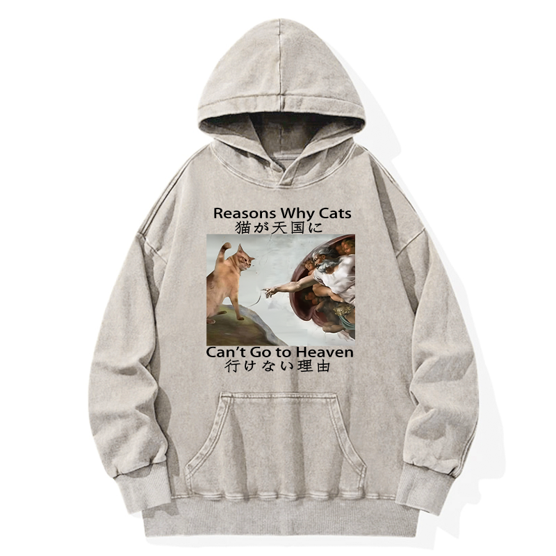 comfortable Japanese streetwear hoodie