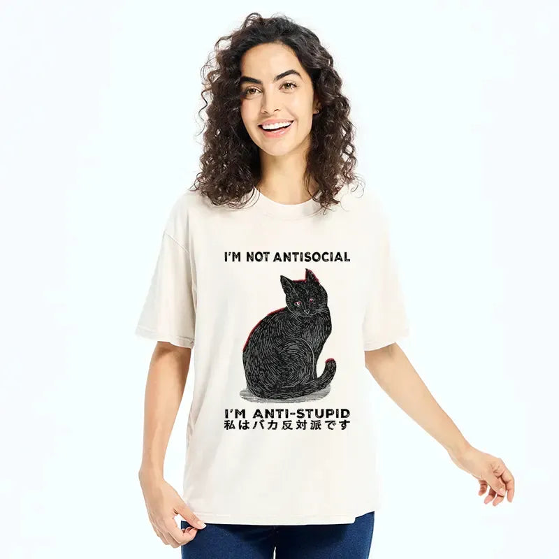 Kyoto-Lion Washed Tee for Streetwear