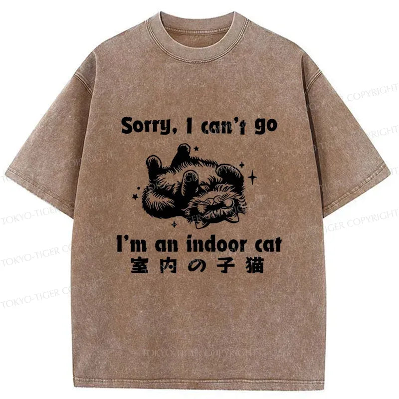 Kyoto-Lion House Cat Washed T-Shirt