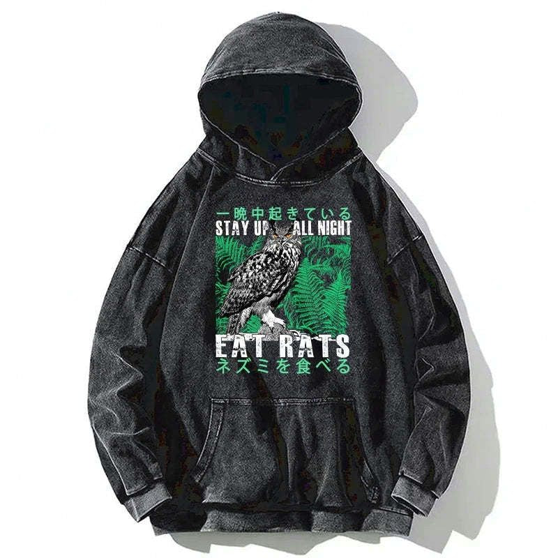 Kyoto-Lion Owls Prey On Rats At Night Washed Hoodie
