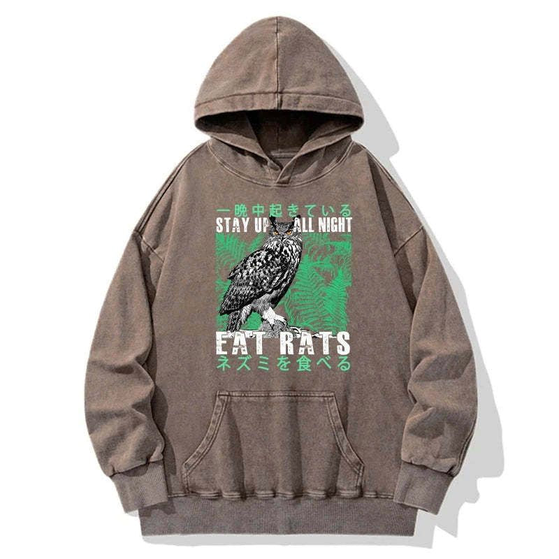 Kyoto-Lion Owls Prey On Rats At Night Washed Hoodie