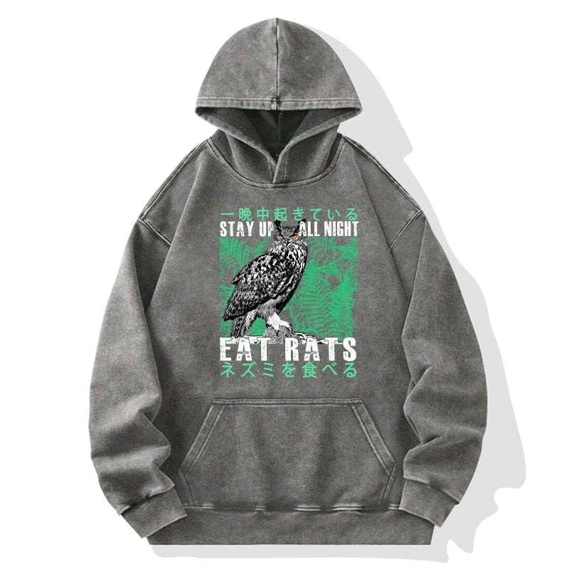 Kyoto-Lion Owls Prey On Rats At Night Washed Hoodie