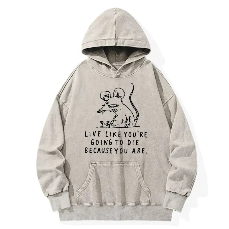 Kyoto-Lion Funny Meme Sarcastic Rat Life Truth Washed Hoodie
