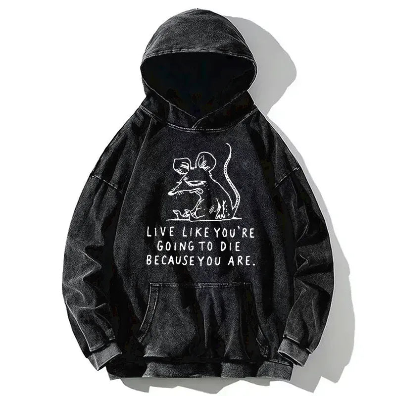 Kyoto-Lion Funny Meme Sarcastic Rat Life Truth Washed Hoodie