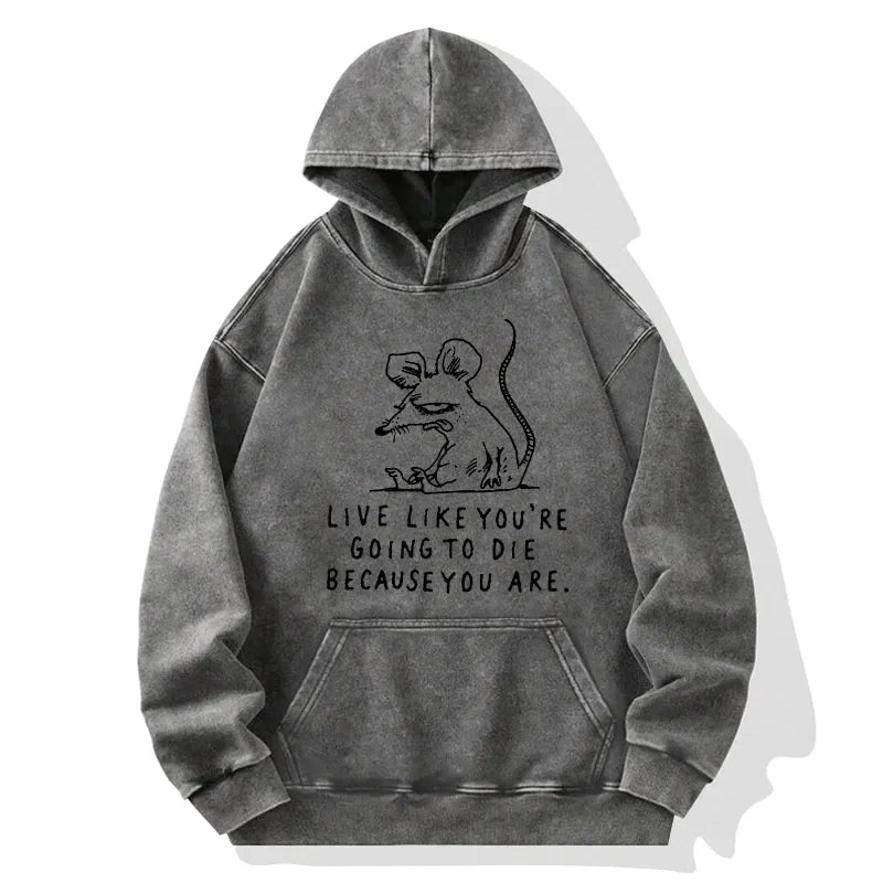 washed unisex hoodie with japanese style