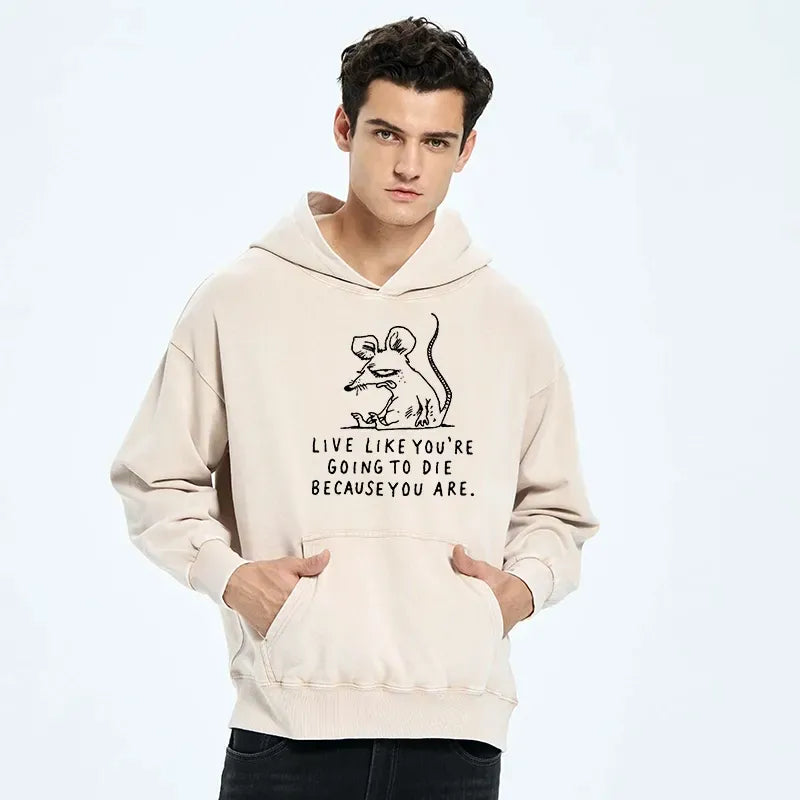 Kyoto-Lion Funny Meme Sarcastic Rat Life Truth Washed Hoodie