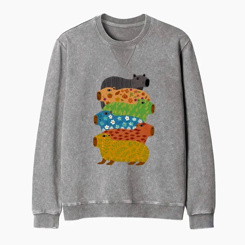 Washed Terry Sweatshirt for Everyday Wear