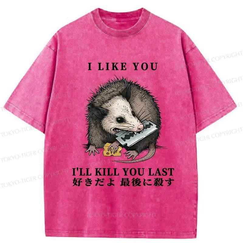Kyoto Lion funny sarcastic t-shirt gift idea