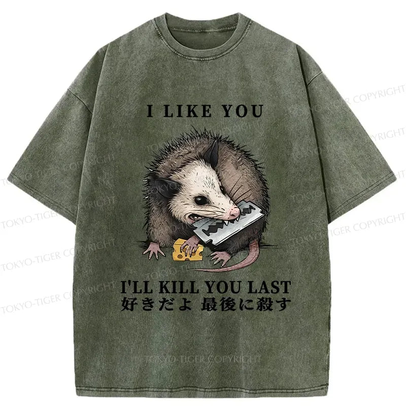 Kyoto Lion funny sarcastic t-shirt gift idea