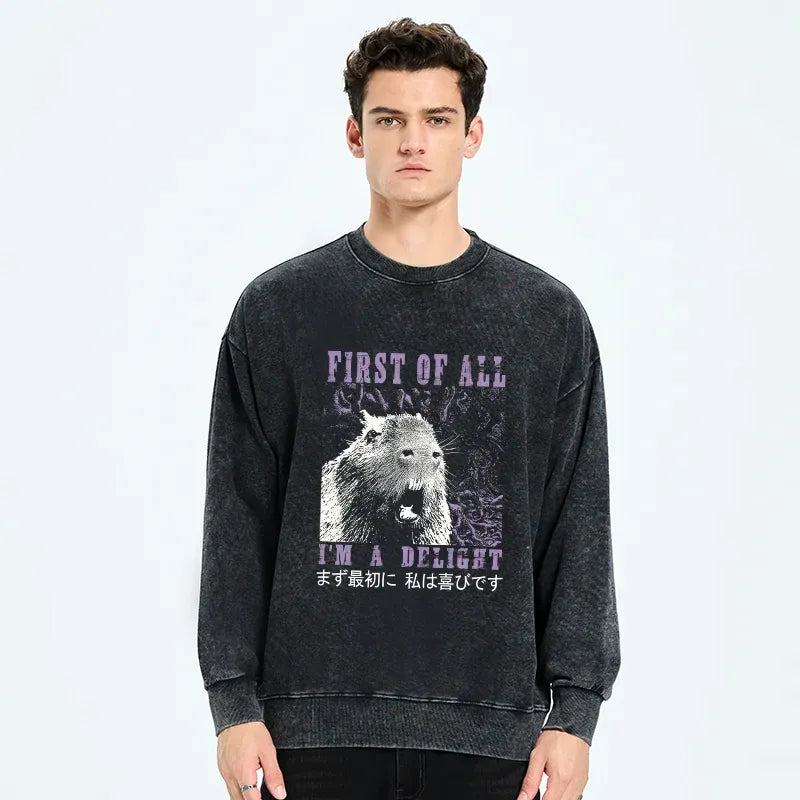 Kyoto Lion Comfortable Sweatshirt for Gift
