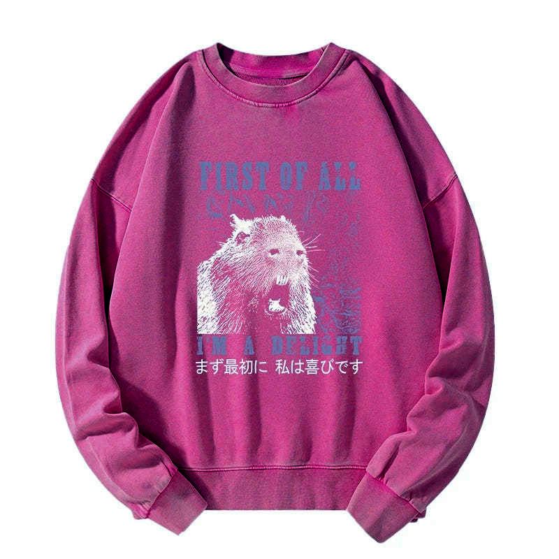 Kyoto-Lion First Of All I'm A Delight Washed Sweatshirt