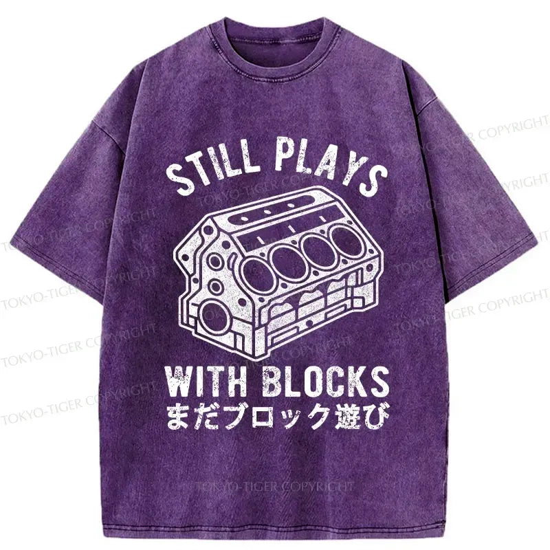 kyoto lion washed tee for casual gift idea