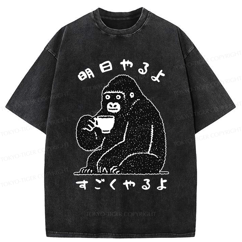 lazy today productive tomorrow t-shirt gift idea