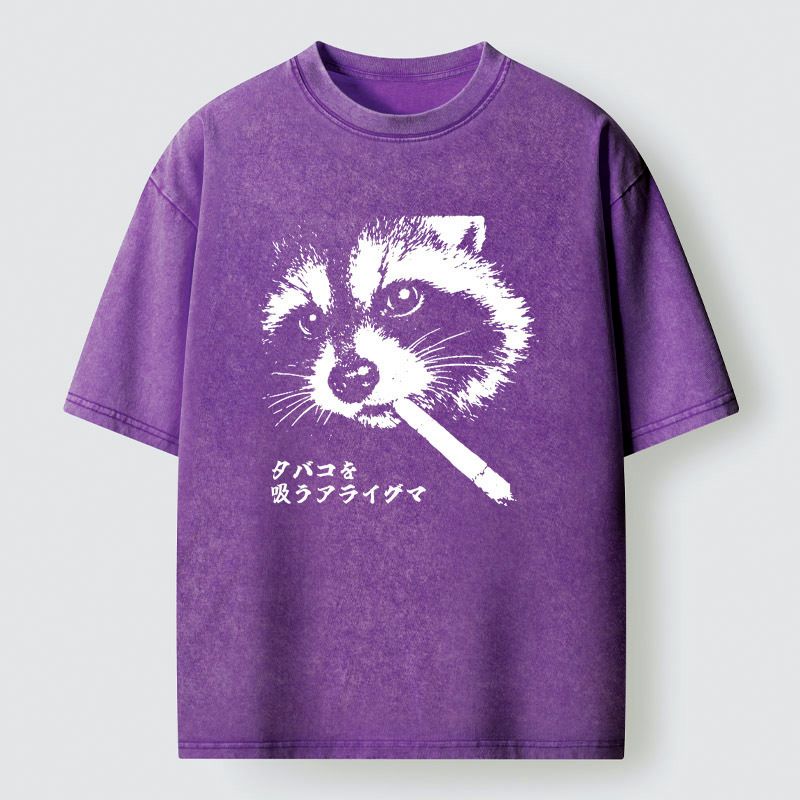 Japanese Vintage Washed Raccoon T-Shirt for Men