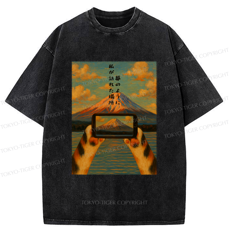 Gift Idea Japanese Cat Lover T-Shirt