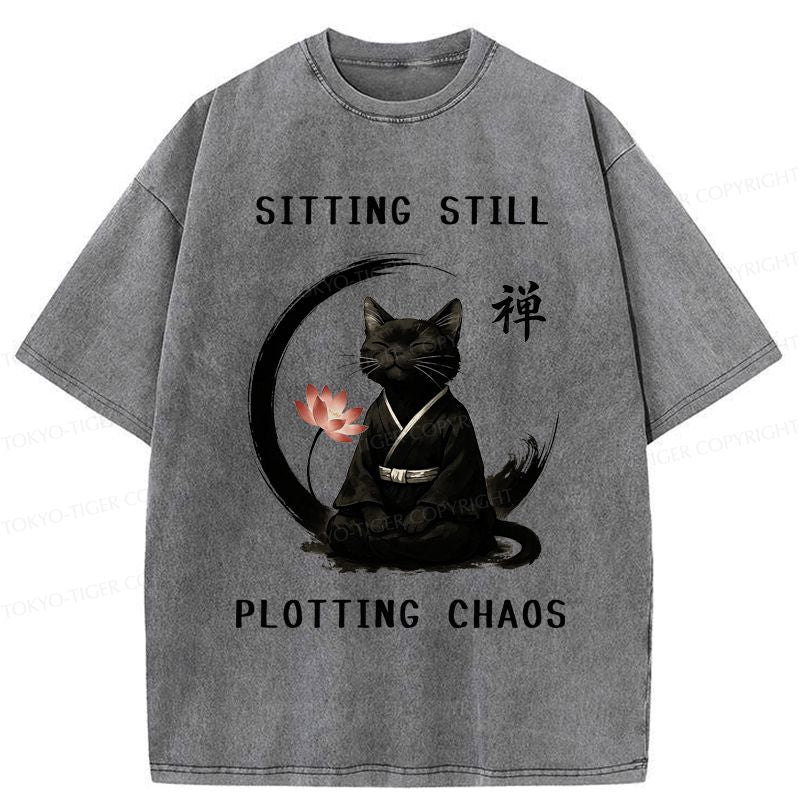 Kyoto-Lion Cat Shirt Free Shipping Deal