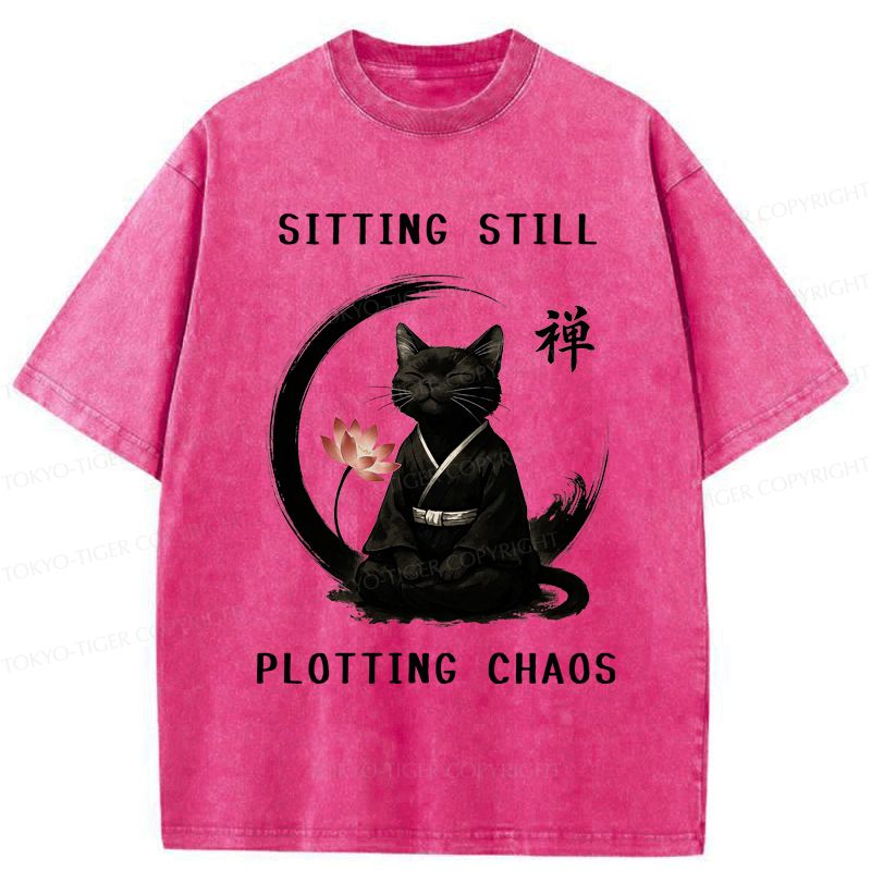 Kyoto-Lion Sitting still plotting chaos Calming Zen Cat Funny Washed T-Shirt