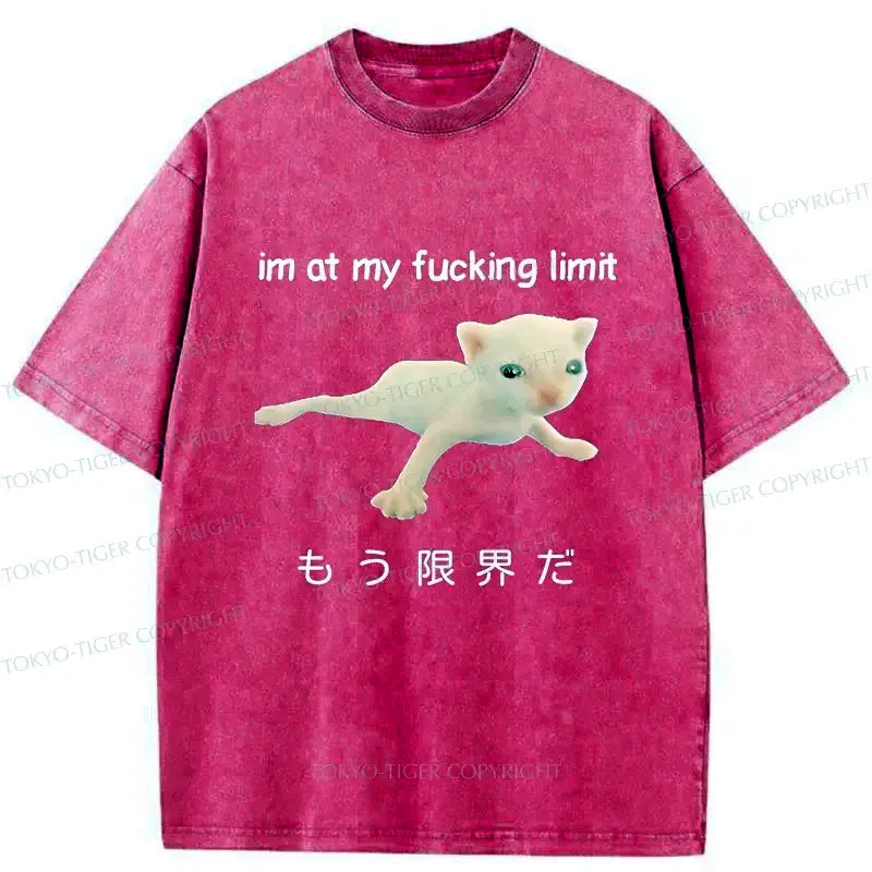 Vintage Japanese Cat T-Shirt