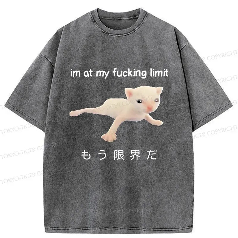 Japanese Cat T-Shirt Streetwear