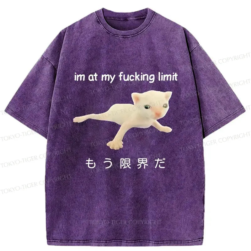 Washed Cat T-Shirt Gift Idea