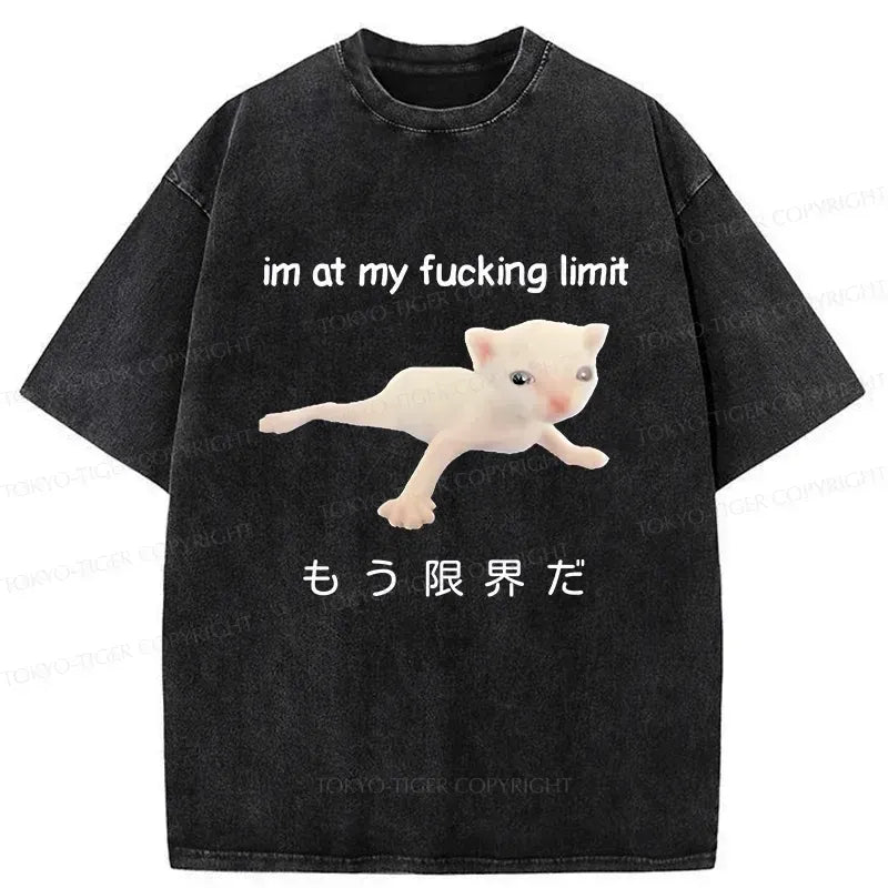 Japanese Cat T-Shirt Streetwear