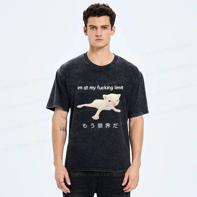 Japanese Cat T-Shirt Streetwear