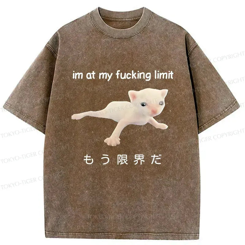 Japanese Cat T-Shirt Streetwear