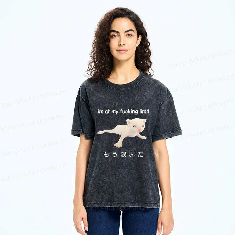 Washed Cat T-Shirt Gift Idea