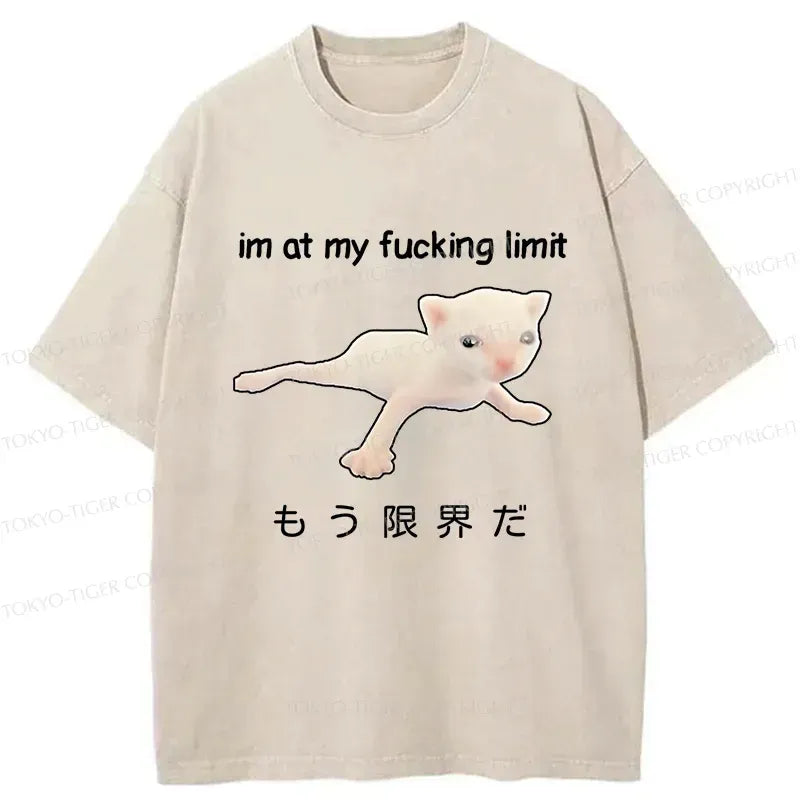 Kyoto-Lion Cat Reaching Its Limit Washed T-Shirt