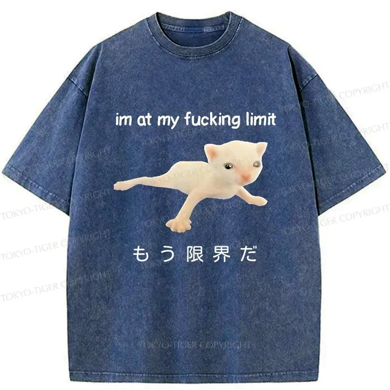 Vintage Japanese Cat T-Shirt