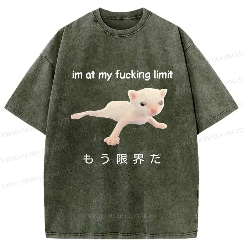 Vintage Japanese Cat T-Shirt
