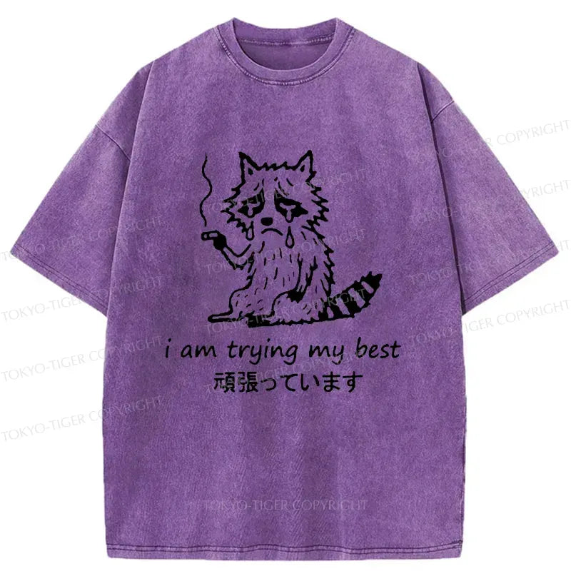 Japanese vintage style raccoon t-shirt
