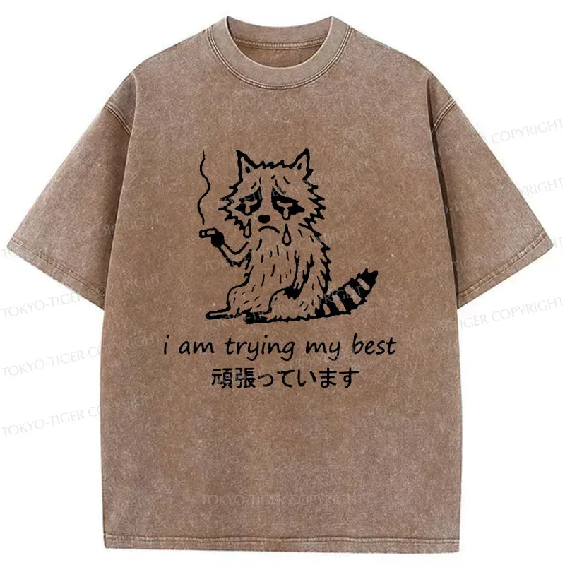 Kyoto-Lion Raccoon Tried His Best Washed T-Shirt