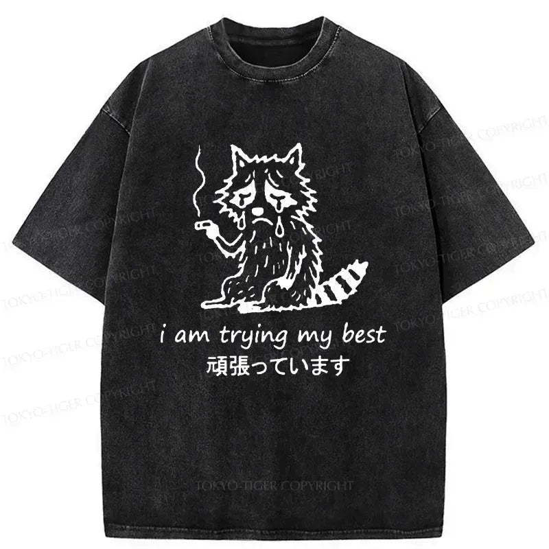 Kyoto-Lion Raccoon Tried His Best Washed T-Shirt