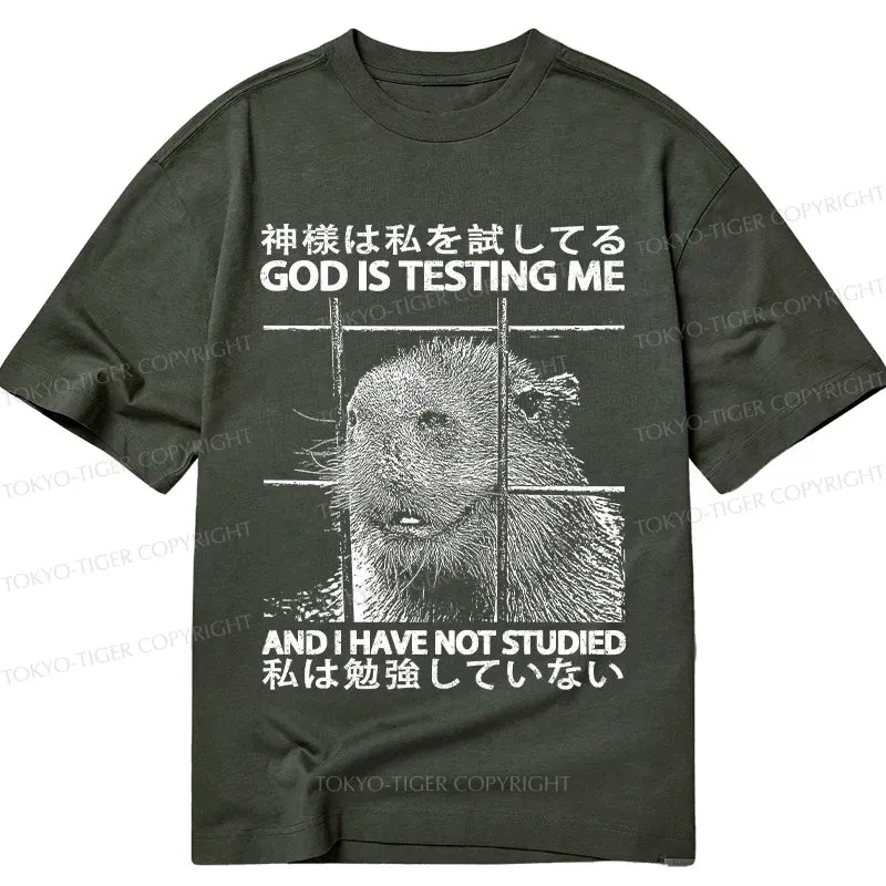 Kyoto Lion God Funny Unisex T-Shirt