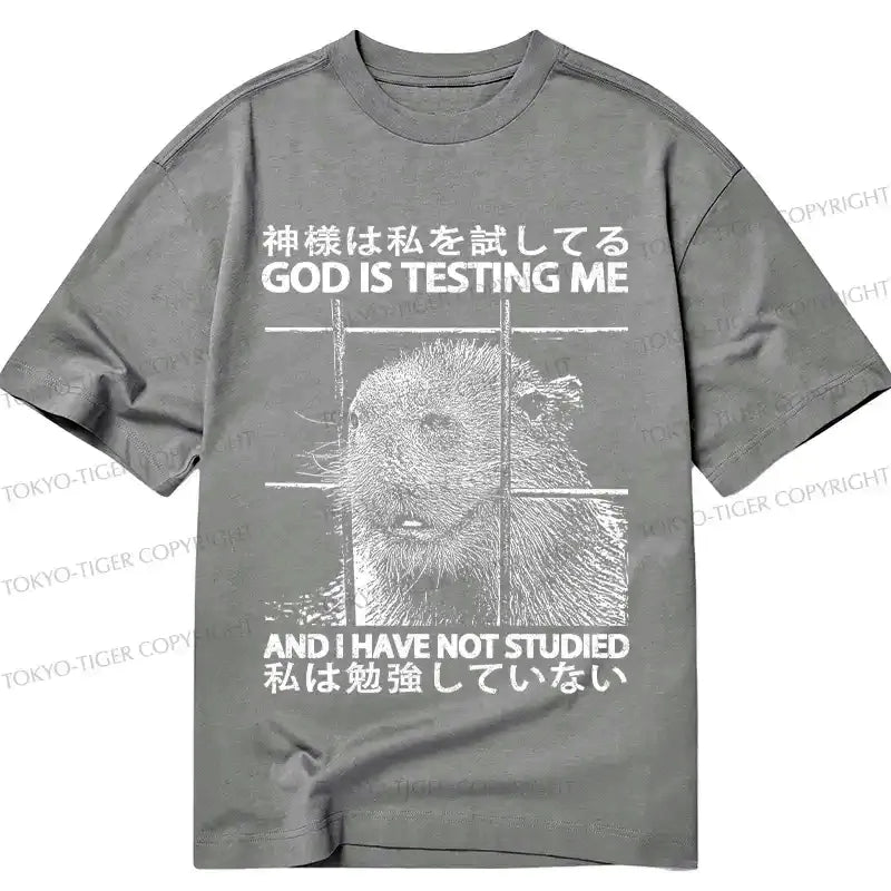 Japanese Mythical Lion God Classic T-Shirt