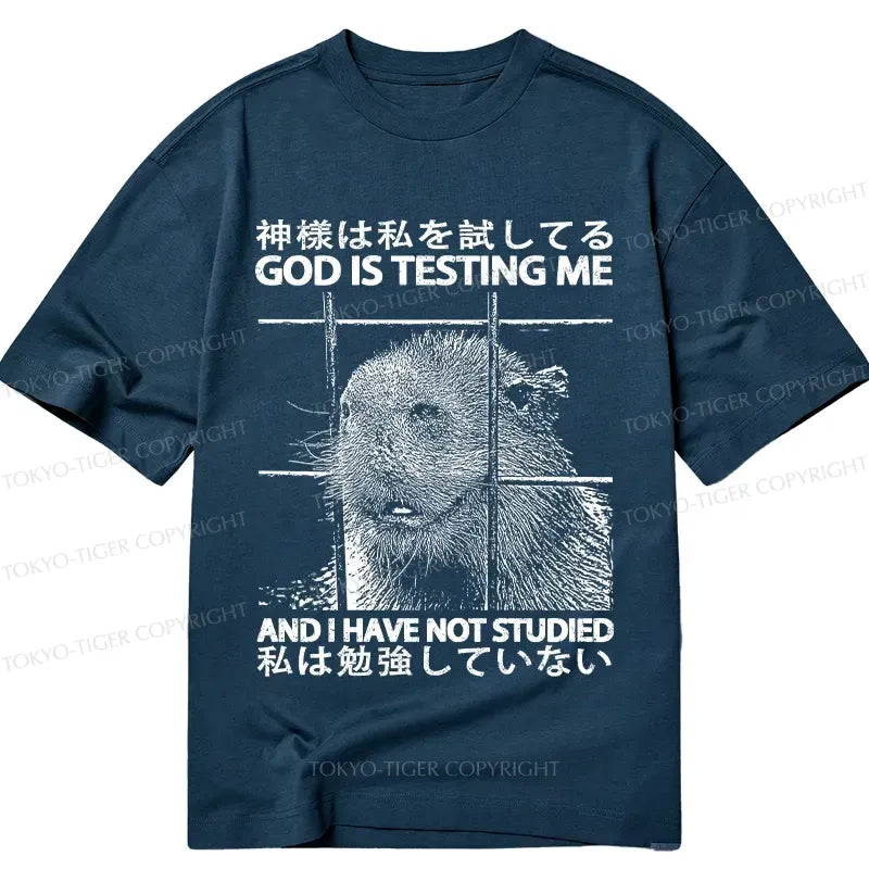 Kyoto Lion God Funny Unisex T-Shirt